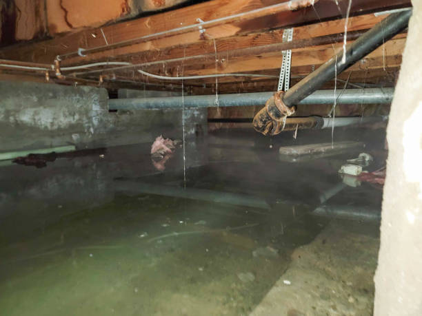 Best Flooded house restoration  in Titusville, PA