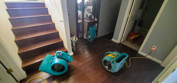 Best 24/7 water damage repair  in Titusville, PA