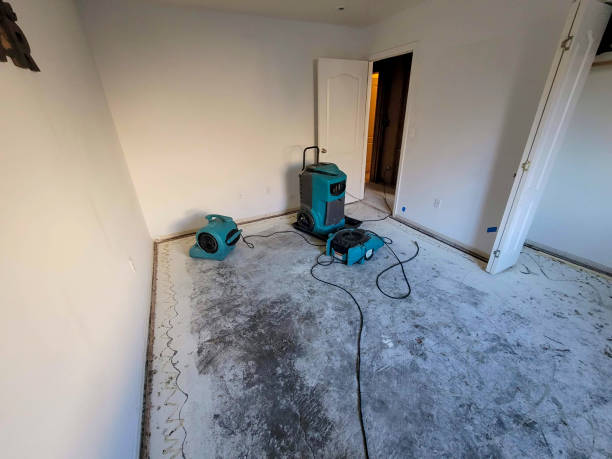 Best Commercial water damage restoration  in Titusville, PA