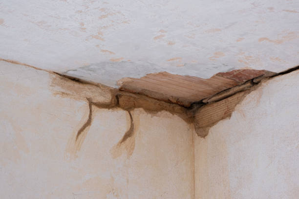 Best Local water damage restoration  in Titusville, PA