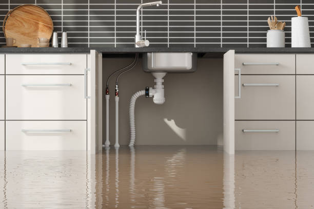 Best Fire Damage Restoration  in Titusville, PA