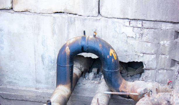 Best Mold removal after water damage  in Titusville, PA