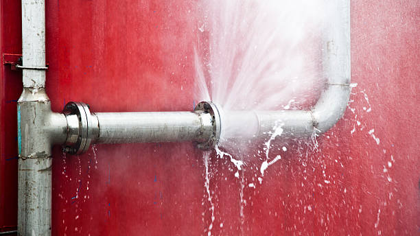 Best Carpet water damage restoration  in Titusville, PA